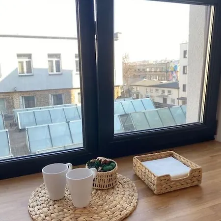 Warm And Light Loft Near Centre Apartment Wilna
