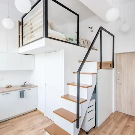Warm And Light Loft Near Centre Apartment *
