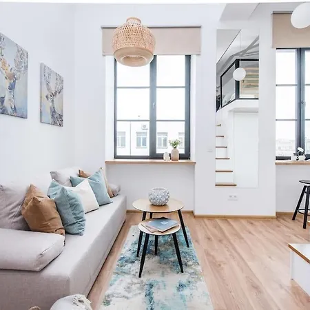 Warm And Light Loft Near Centre Wilna