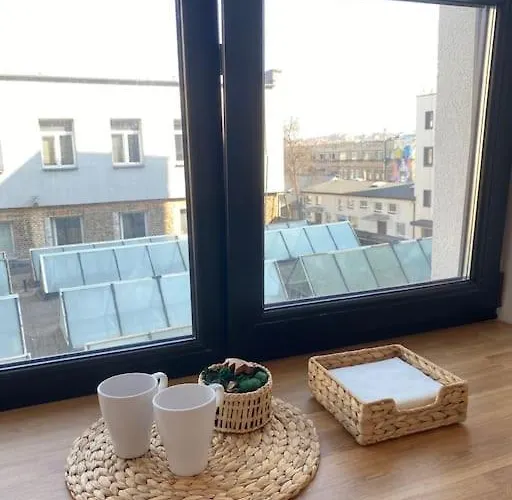 Warm And Light Loft Near Centre Butas Vilnius